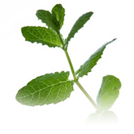 �΂̃C���[�W