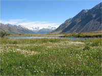 ���i�̔�����