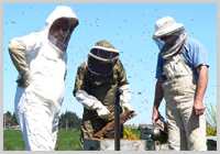 �}�k�J�n�j�[